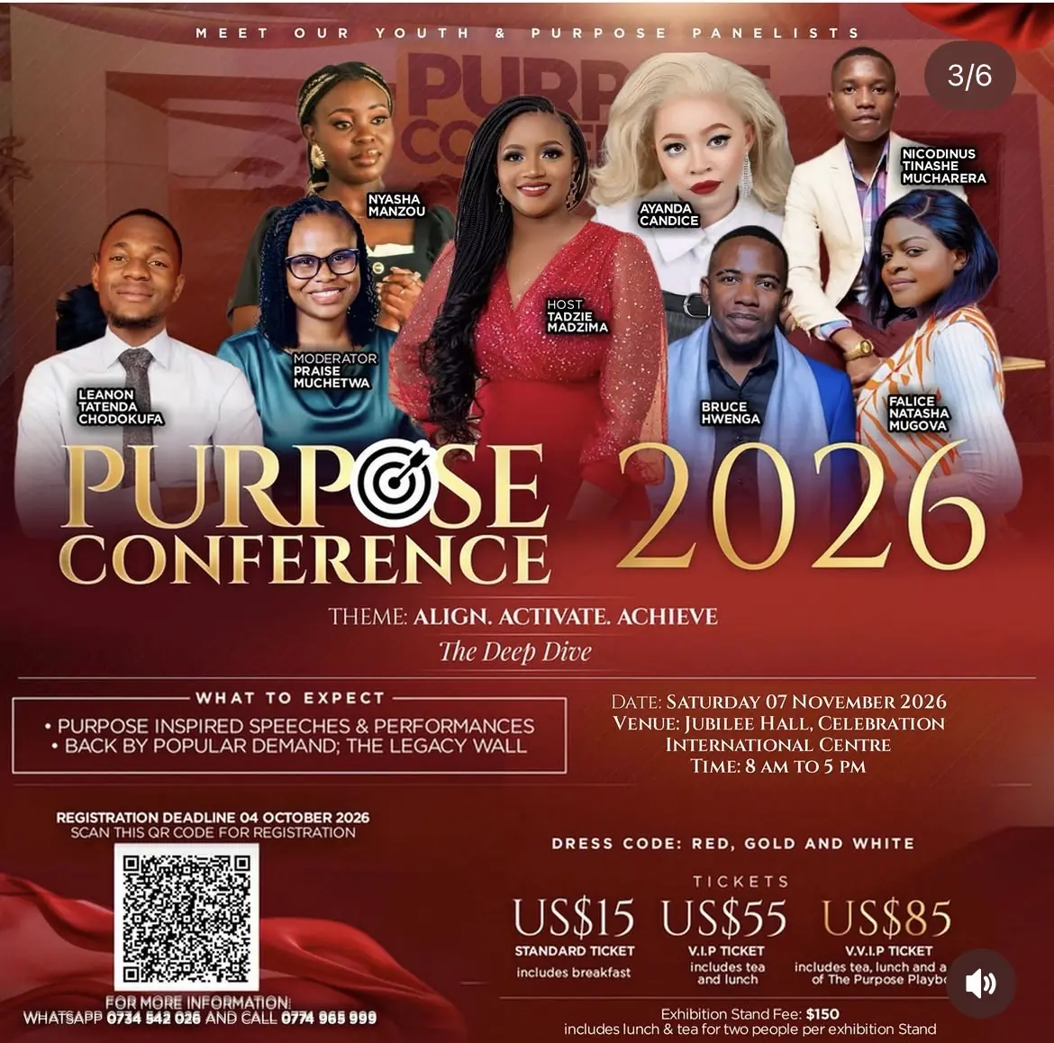 Youth and purpose panelists